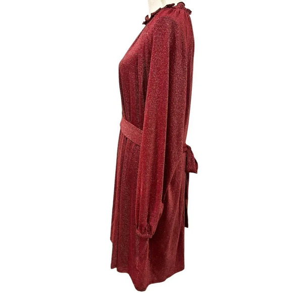 Eloquii Elements Long Sleeve Shimmer Tie Waist Dress - Picture 6 of 8